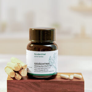 Gedächtnis Ginseng plus Vitamin B3* - Pure Herbs