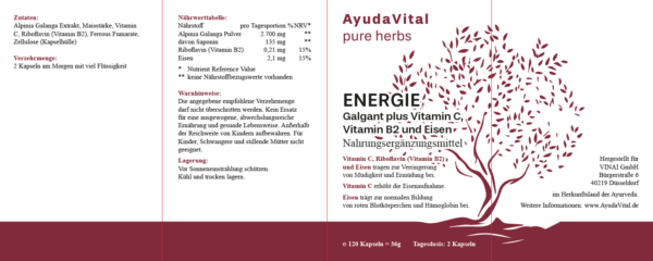 Energie Galgant plus Vitamin C, Vitamin B2 und Eisen -  Pure Herbs – Bild 3